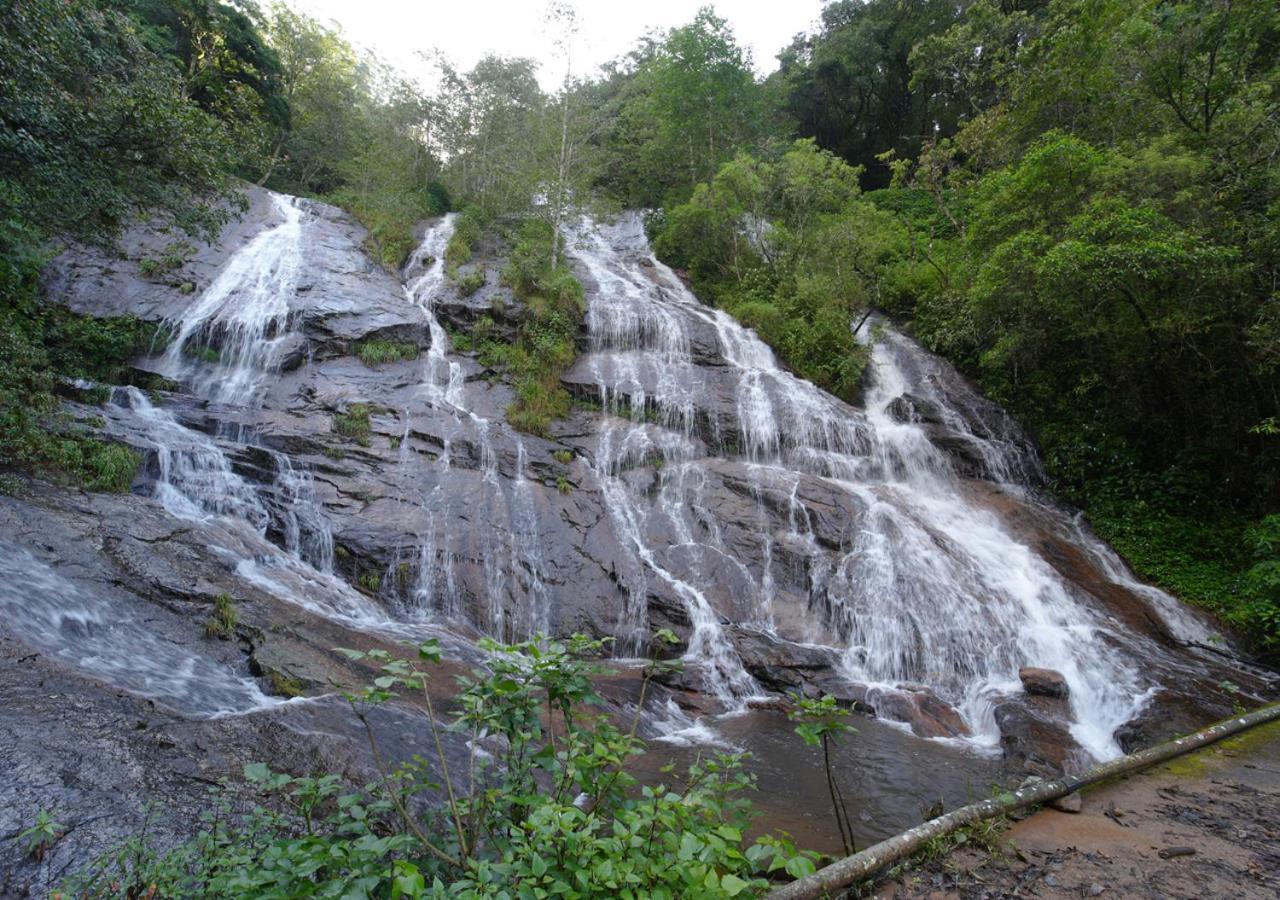 Arivikad Tea Bungalow Munnar By Voye Homes Suryanelli Luaran gambar