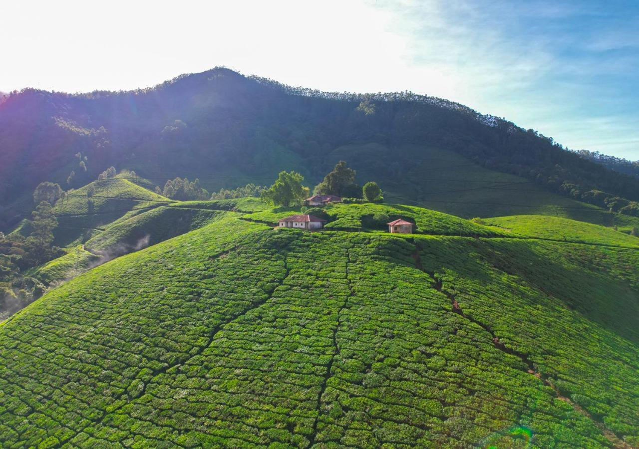 Arivikad Tea Bungalow Munnar By Voye Homes Suryanelli Luaran gambar