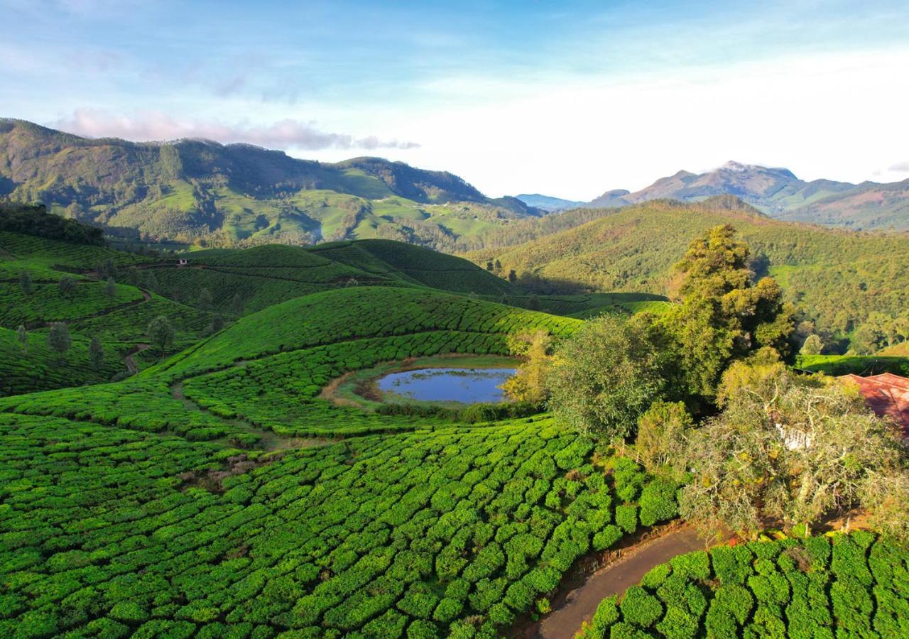 Arivikad Tea Bungalow Munnar By Voye Homes Suryanelli Luaran gambar