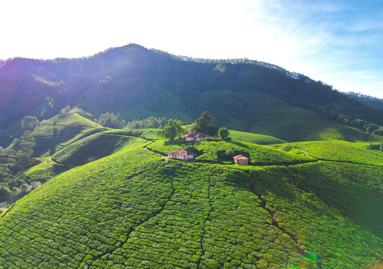 Arivikad Tea Bungalow Munnar By Voye Homes Suryanelli Luaran gambar