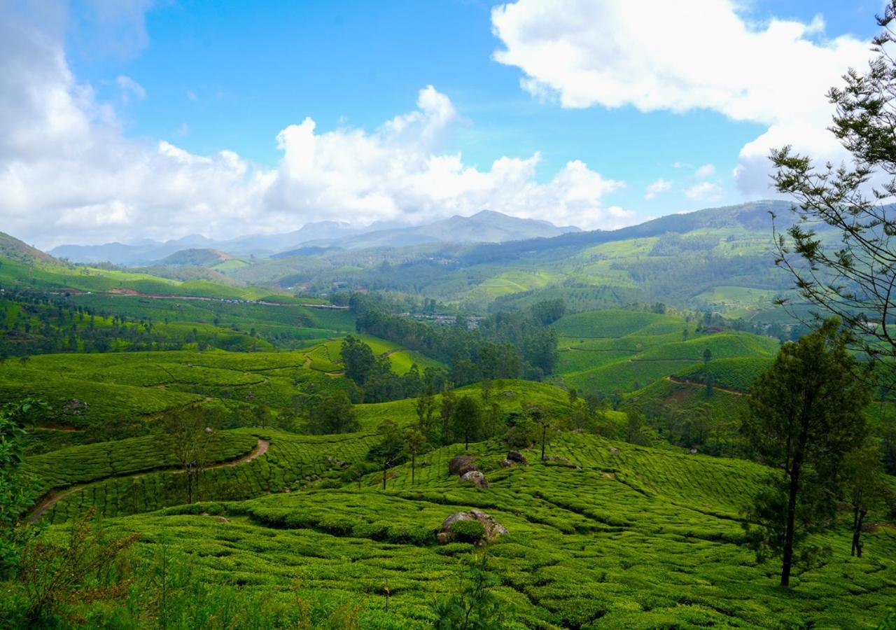 Arivikad Tea Bungalow Munnar By Voye Homes Suryanelli Luaran gambar