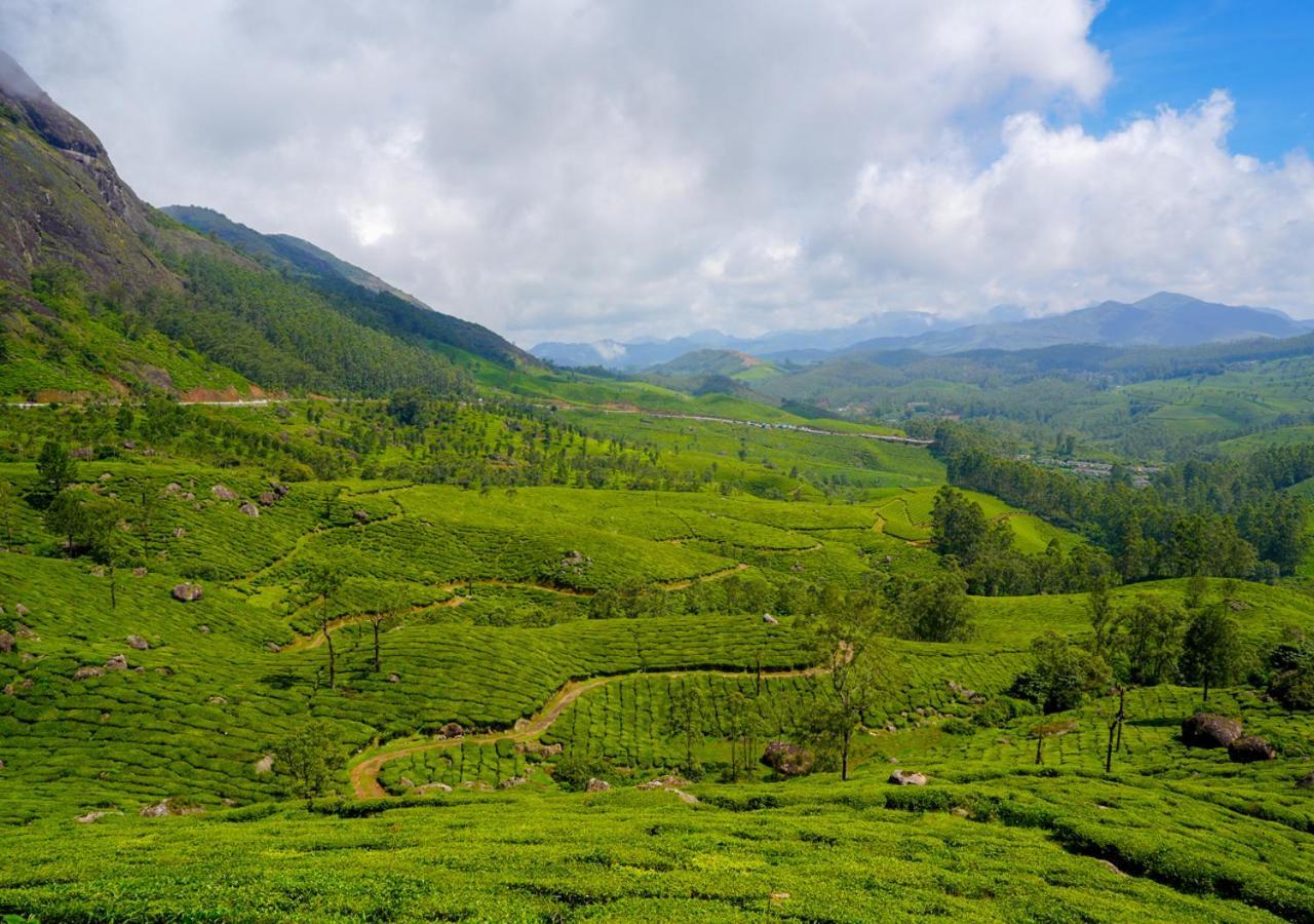 Arivikad Tea Bungalow Munnar By Voye Homes Suryanelli Luaran gambar