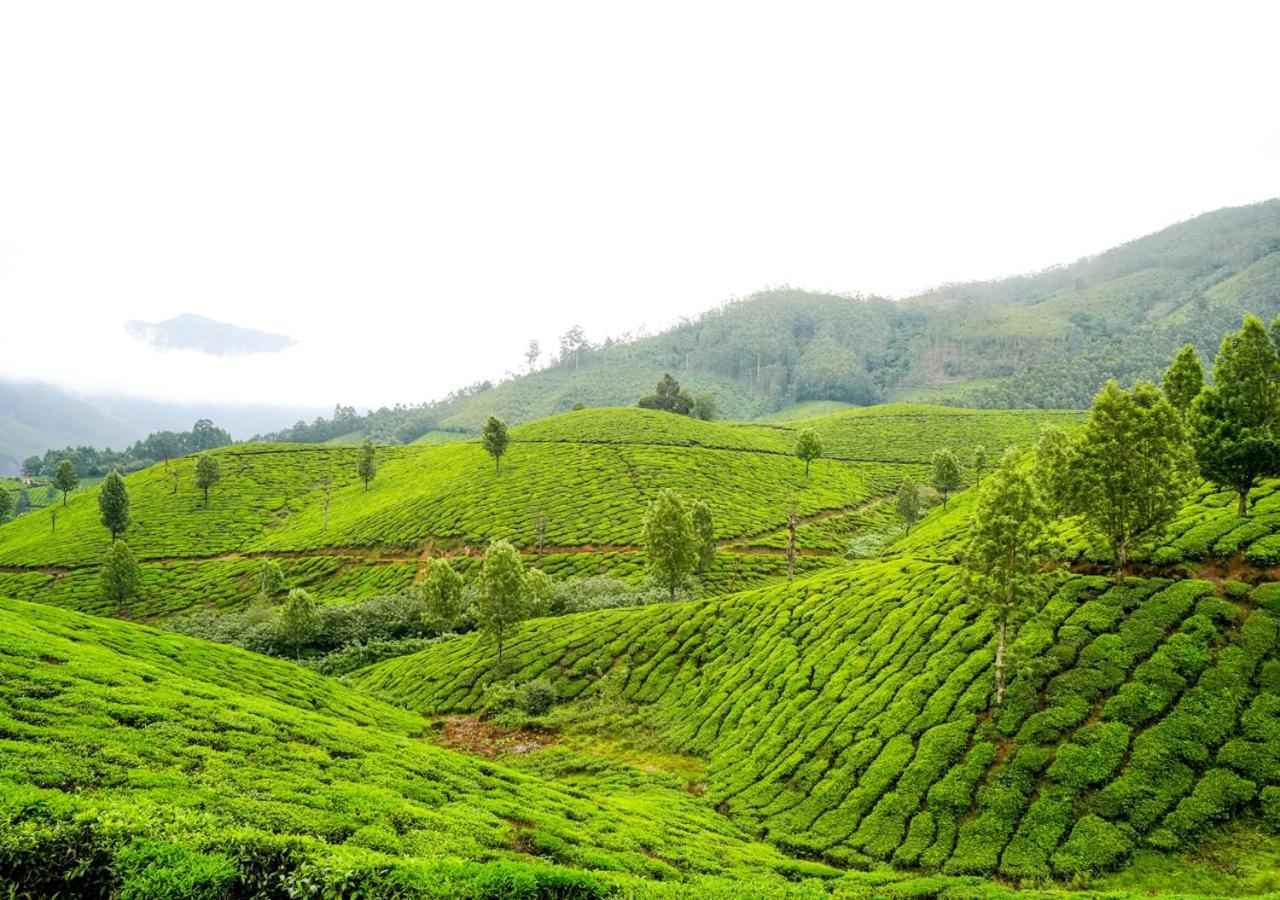 Arivikad Tea Bungalow Munnar By Voye Homes Suryanelli Luaran gambar