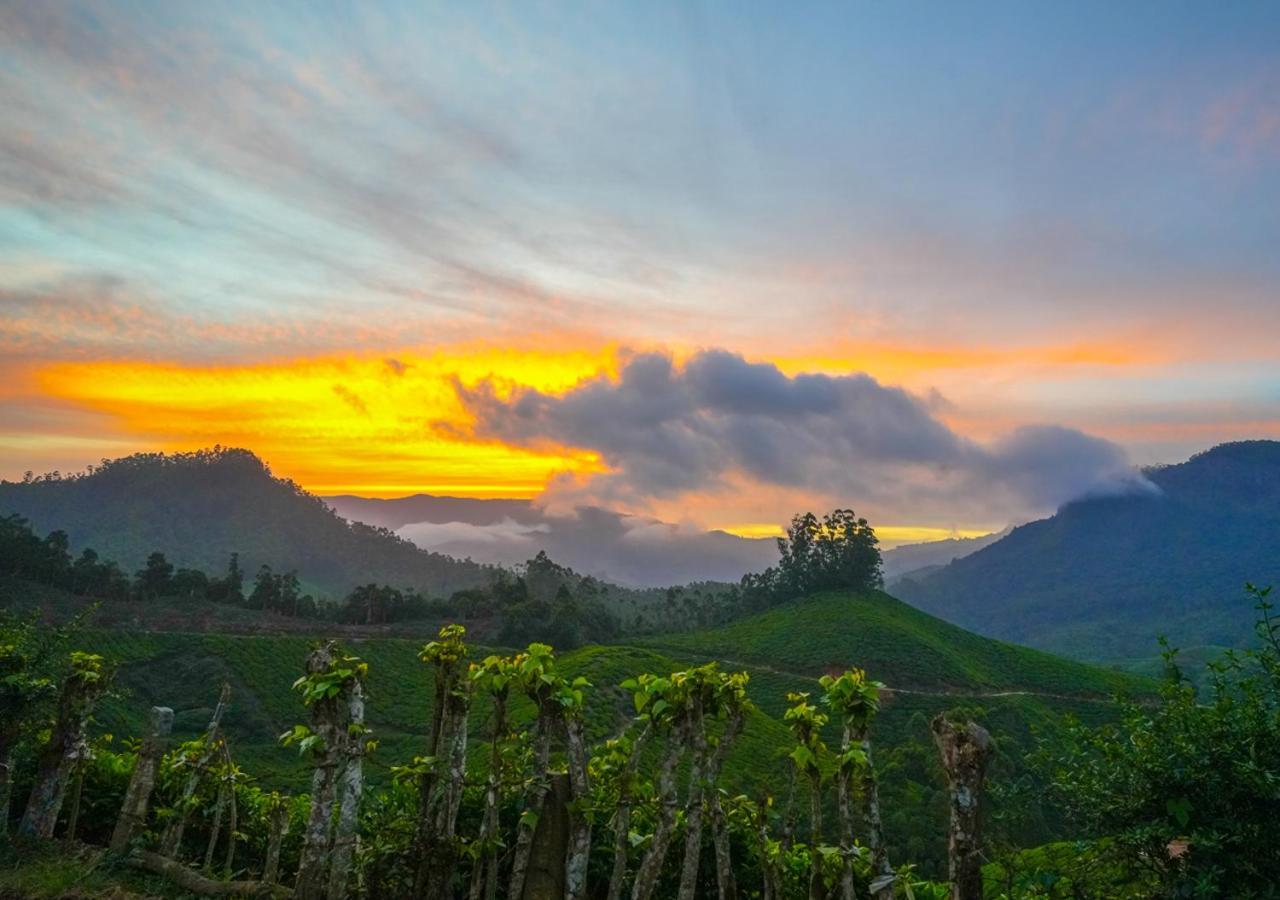 Arivikad Tea Bungalow Munnar By Voye Homes Suryanelli Luaran gambar